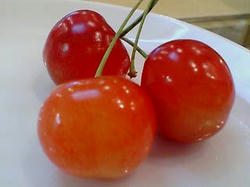 20080623155425.jpg