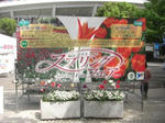 CIMG0680.JPG