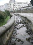 080524-5.JPG