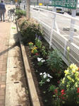 080610-3.JPG