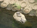 080701-4.JPG