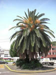 080712-2.JPG