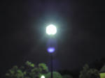 2009110605.jpg