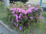 2010050301.jpg