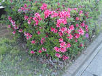 2010050302.jpg