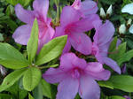 2010050305.jpg