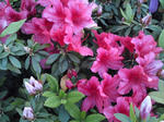 2010050306.jpg