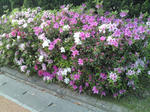 2010050304.jpg