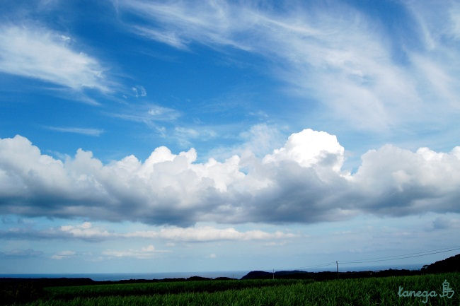 田島の空