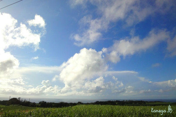 西海岸の空