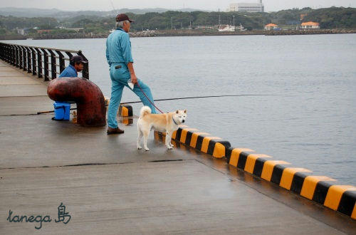 釣り人