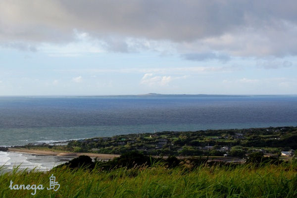 馬毛島