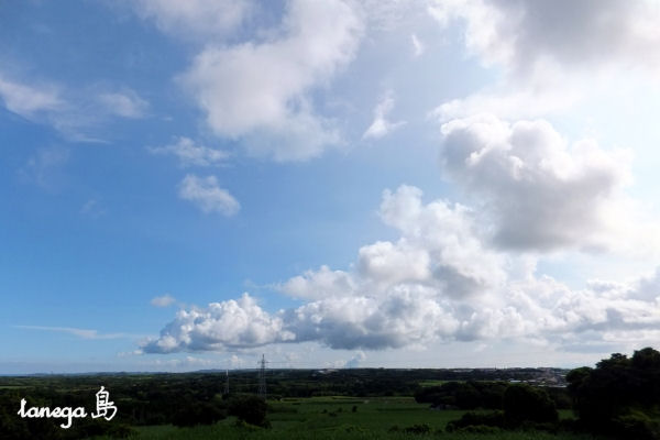 野間の空