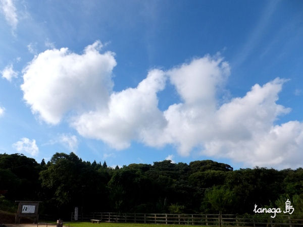 雄淵雌淵の滝