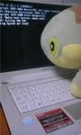 GetAttachment45.jpg
