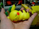 PICT0073.jpg