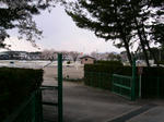 PICT0131.jpg