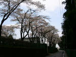 PICT0134.jpg