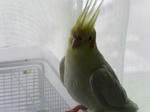 PICT0241.jpg