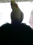 PICT0244.jpg