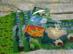 PICT0250.jpg