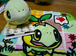 PICT0319.jpg