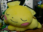 PICT0320.jpg
