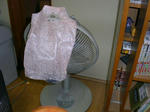 PICT0325.jpg