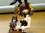 PICT0353.jpg