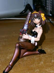 PICT0354.jpg