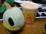 PICT0520.jpg