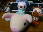 PICT0550.jpg