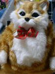 PICT0110.jpg