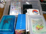 PICT0161.jpg