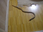 201004011.jpg