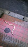 201004012.jpg
