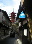 201003294.jpg