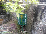 201003297.jpg
