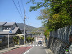 P4250041.jpg