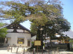P4250049.jpg