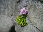 P4250052.jpg