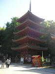 P5300024.jpg