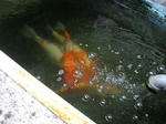2010_08221.jpg