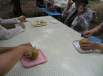 2010_0906_nasi1.jpg