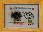 kokikeirou2010.jpg