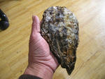 2010_1231_162618-PC310065.JPG