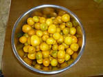 P1000023.JPG