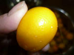 P1000024.JPG