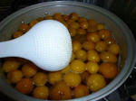 P1000028.JPG