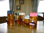 P1000029.JPG